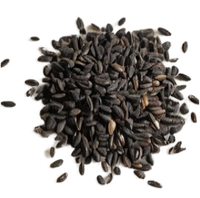 Black Seed