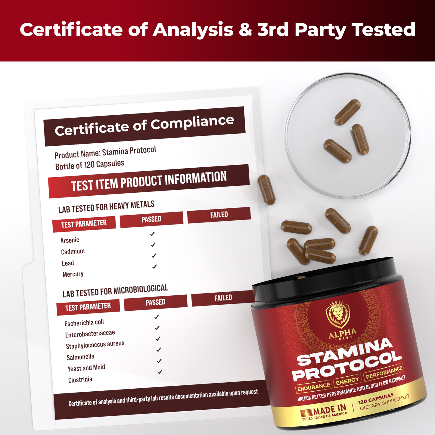 Stamina Protocol